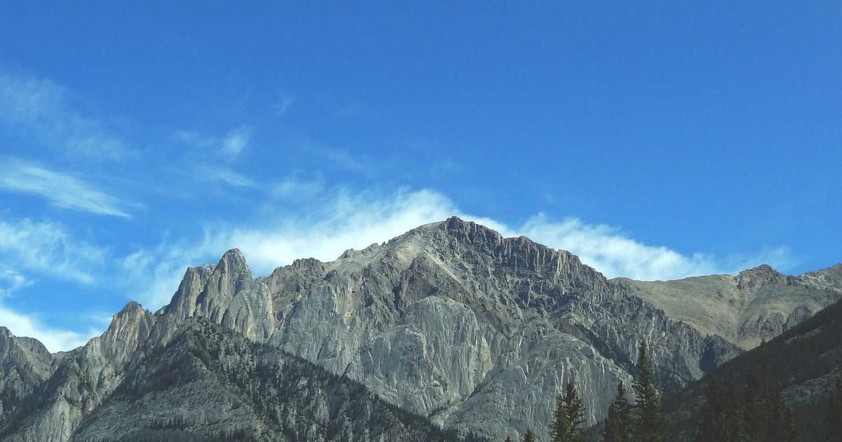 CLI Database Generator