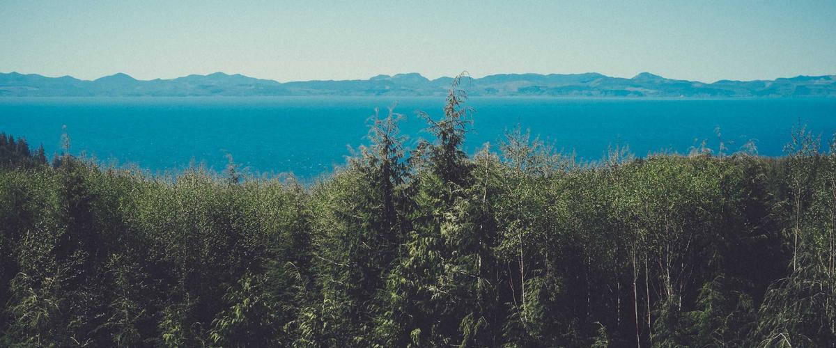 Terminal showing mycli help output